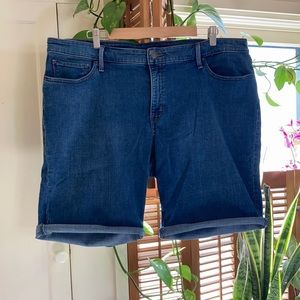 Levi’s Denim Jean Shorts 24W Plus